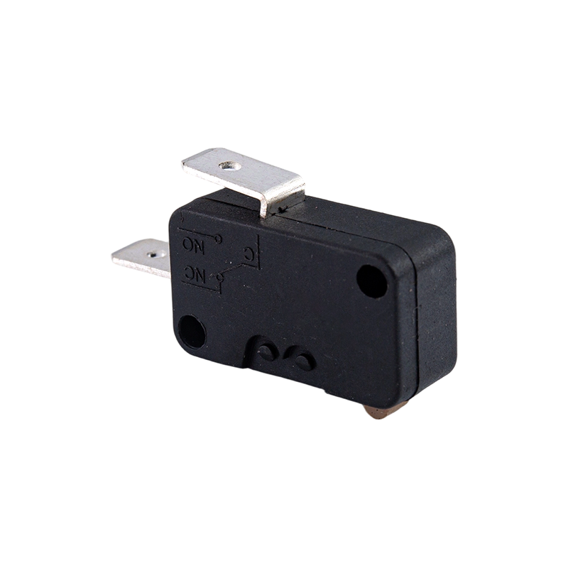 MS15-2B2 উচ্চ ভোল্টেজ ডিভাইস মাইক্রো সুইচ